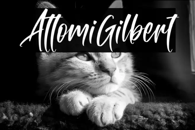 AttomiGilbert Font examples
