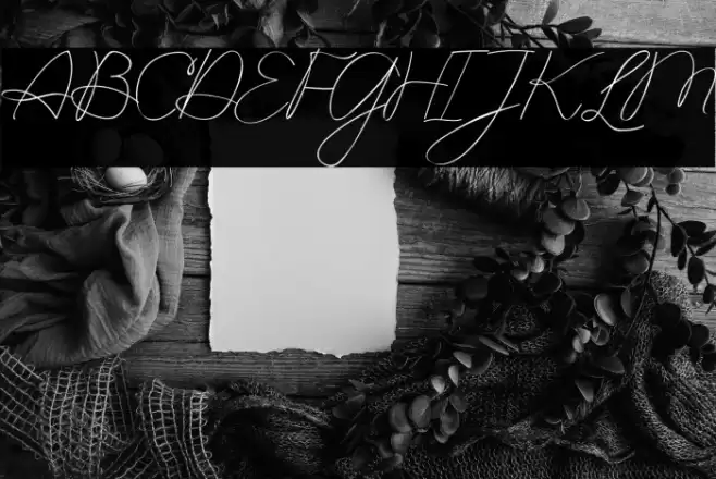 Attourney Font examples