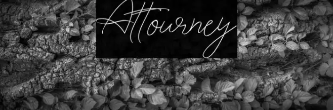 Attourney Example 1