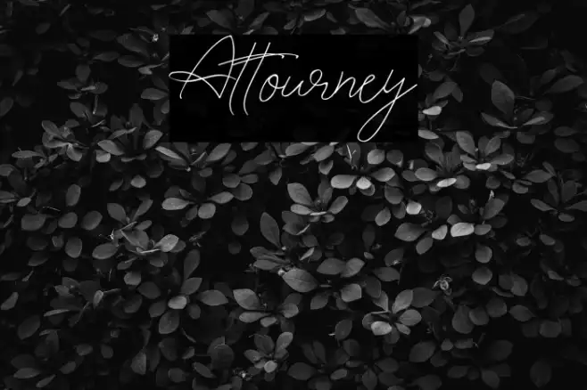 Attourney Example 3