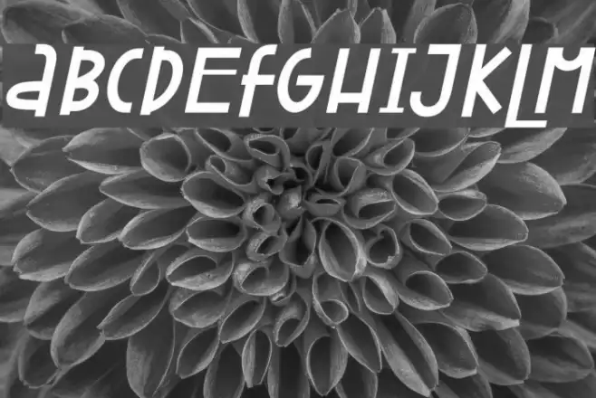 Attracted Monday Italic Example 2