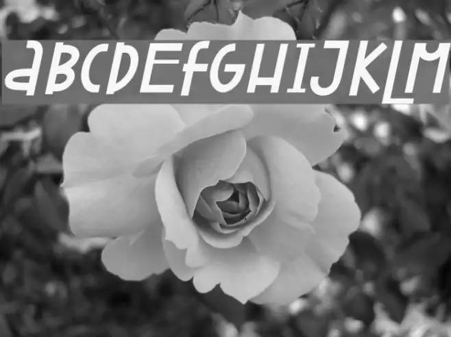 Attracted Monday Italic Example 3