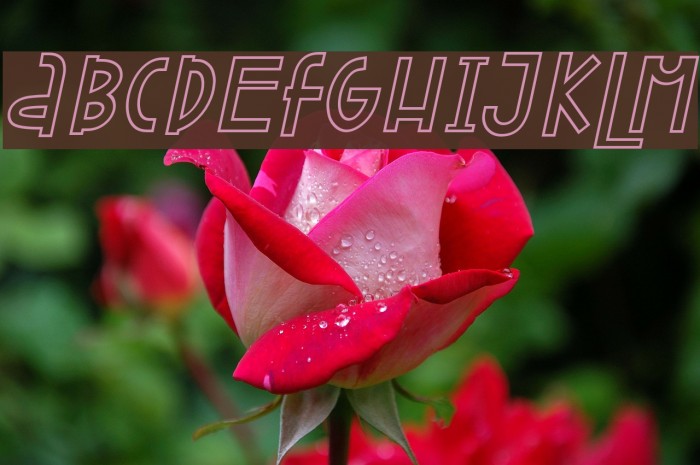 Attracted Monday Outline Italic Font examples