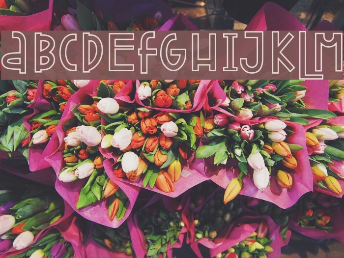 Attracted Monday Outline Font examples