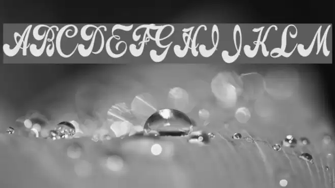 Attraction Personal Use  Font examples