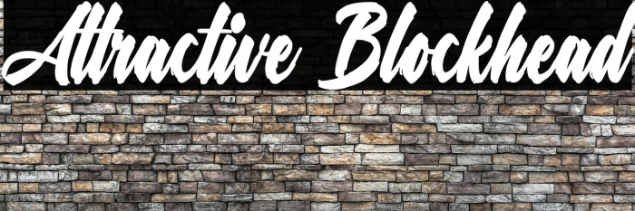 Attractive Blockhead Example 2