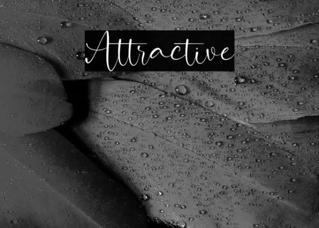 Attractive Font examples