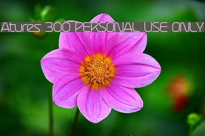 Atures 300 PERSONAL USE ONLY Font examples
