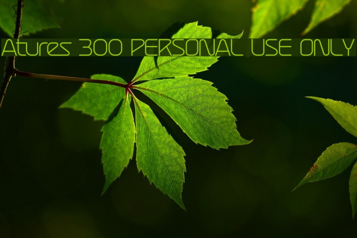 Atures 300 PERSONAL USE ONLY Font examples