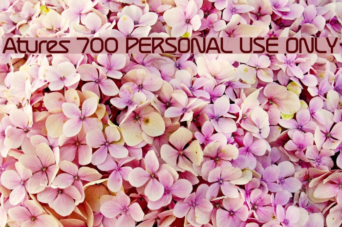 Atures 700 PERSONAL USE ONLY Font examples