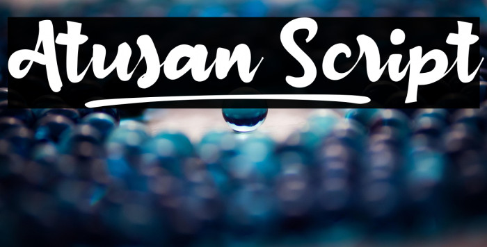 Atusan_Script Example 1