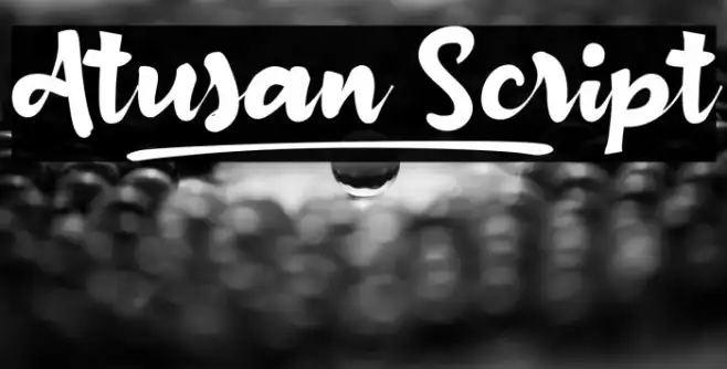 Atusan_Script Example 1