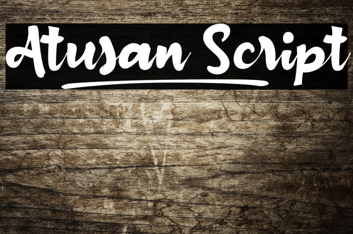 Atusan_Script Example 2