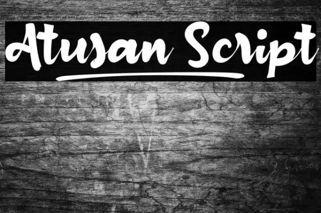 Atusan_Script Example 2