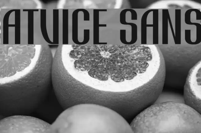 Atvice Sans Font examples