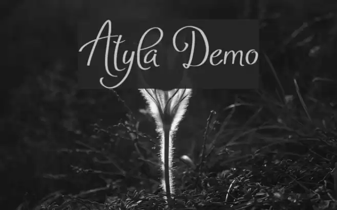 Atyla Demo Font examples