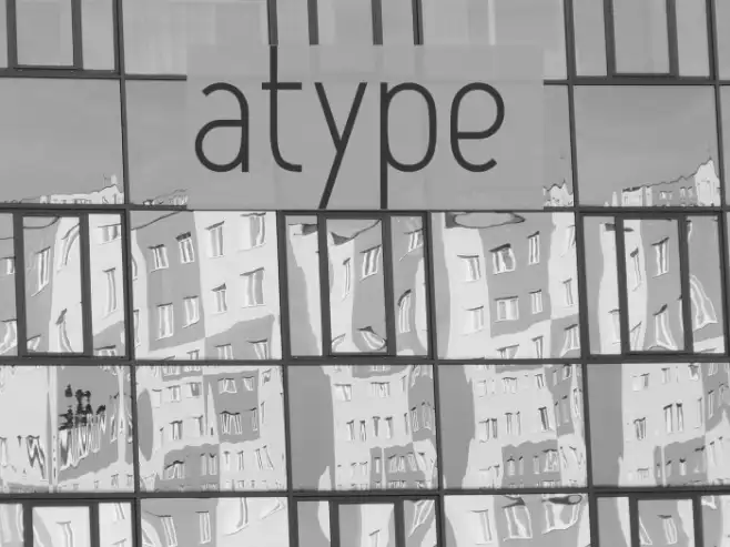 Atype 1 Example 1