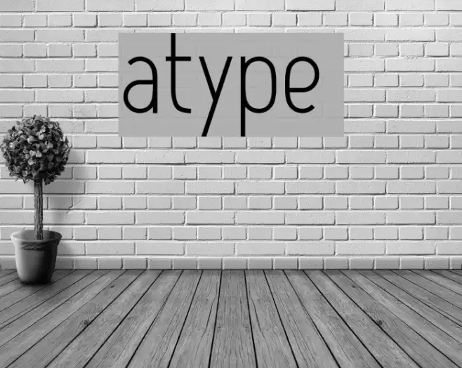 Atype 1 Example 2