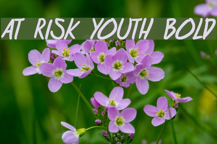 at risk youth Bold Font examples