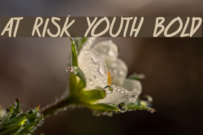 at risk youth Bold Font examples