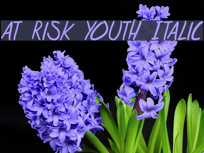 at risk youth Italic Font examples
