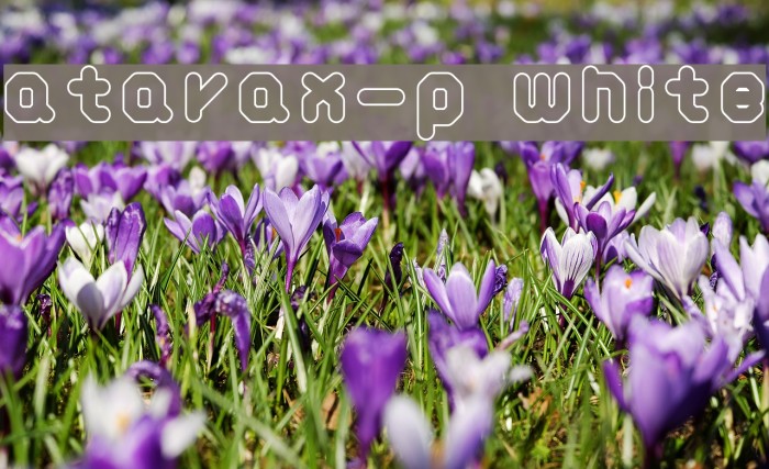 atarax-p white لخطوط تنزيل examples