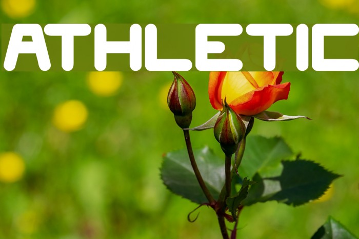 athletic Font examples