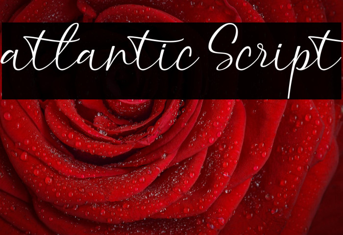 atlantic Script Example 2