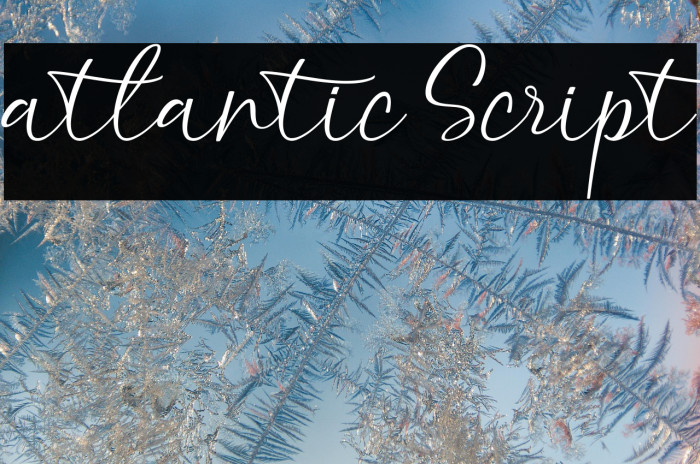 atlantic Script Example 3