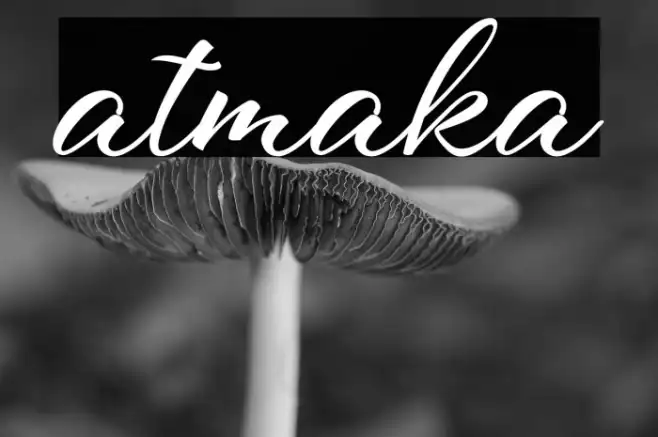 atmaka Example 1