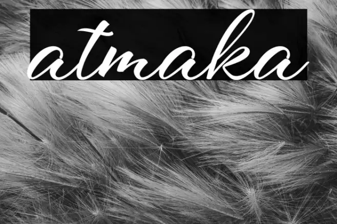 atmaka Example 2