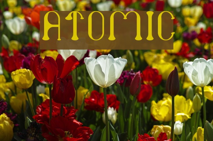 atomic Font examples