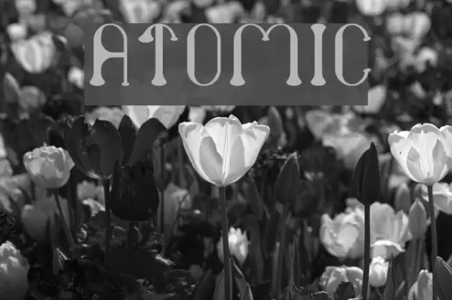 atomic Example 2