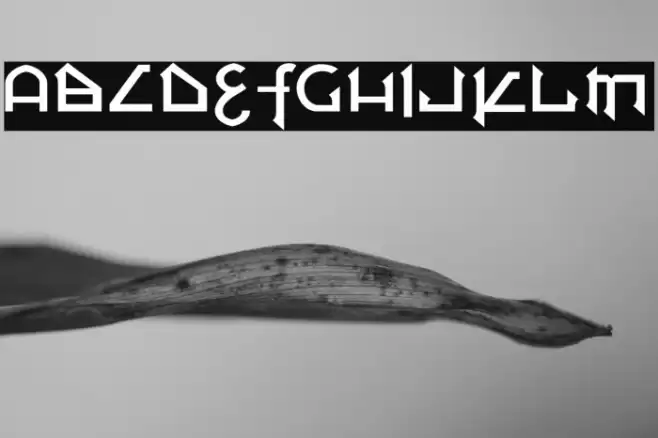 attupats Font examples