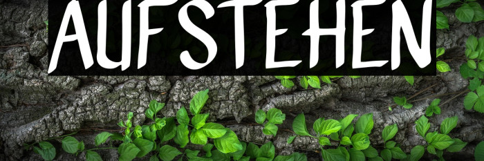 AUFSTEHEN Example 1