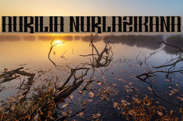 AURILIA NURLAZIKANA Font examples