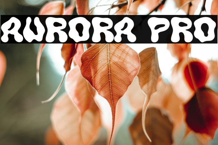 AURORA PRO Example 1