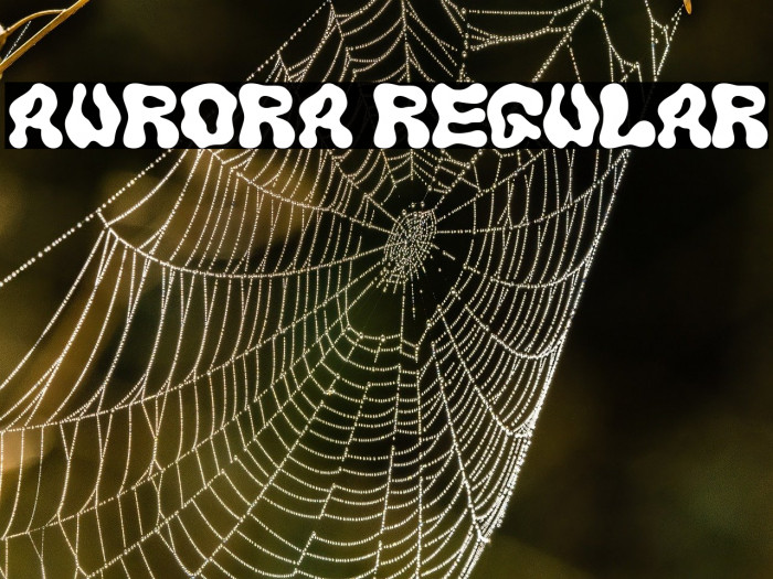 AURORA Regular Example 2