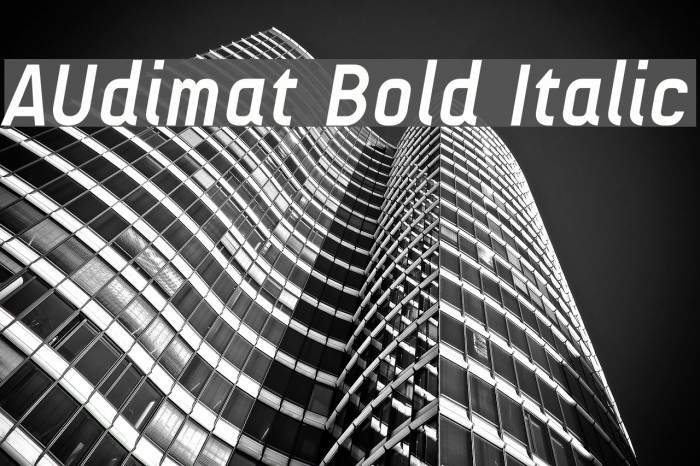 AUdimat Bold Italic Font examples