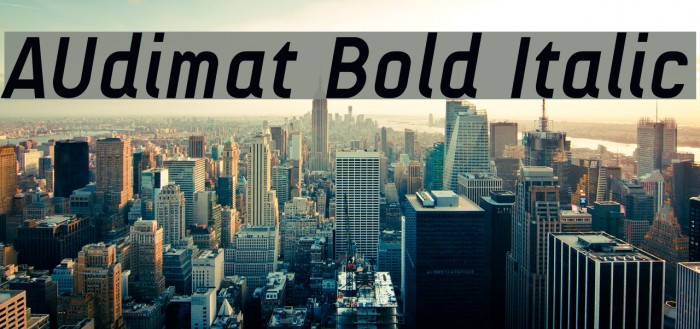 AUdimat Bold Italic Font examples