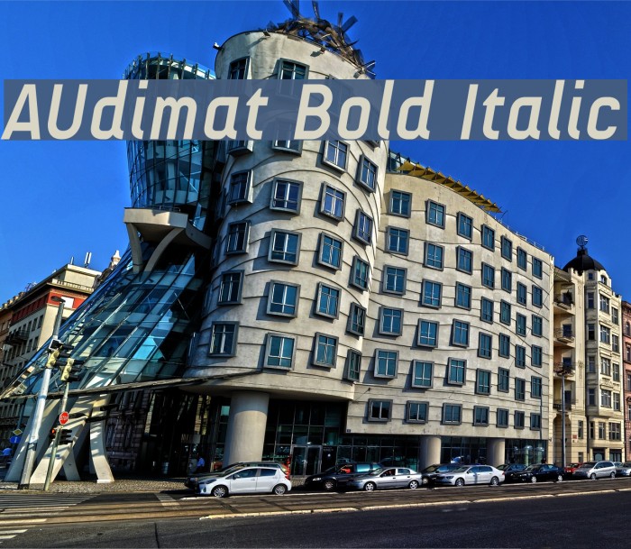 AUdimat Bold Italic Font examples