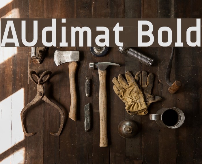 AUdimat Bold Font examples
