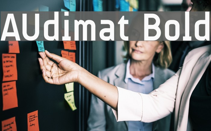 AUdimat Bold Font examples