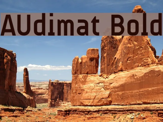 AUdimat Bold Example 3