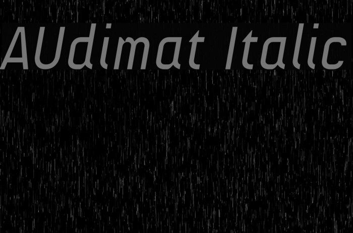 AUdimat Italic Font examples