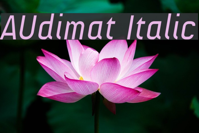 AUdimat Italic Font examples