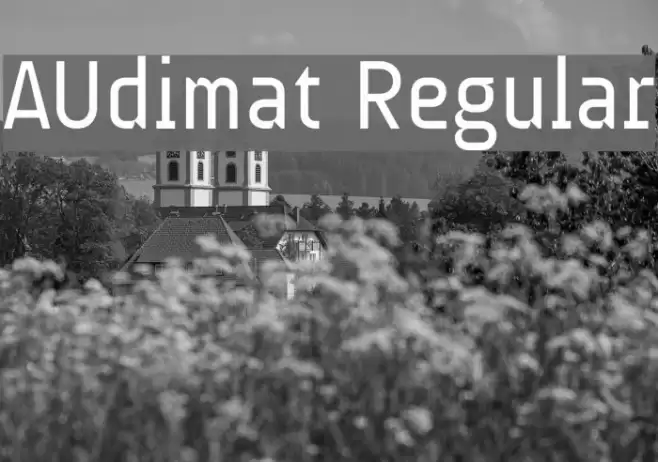 AUdimat Regular Font examples