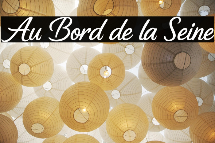 Au Bord de la Seine Example 3