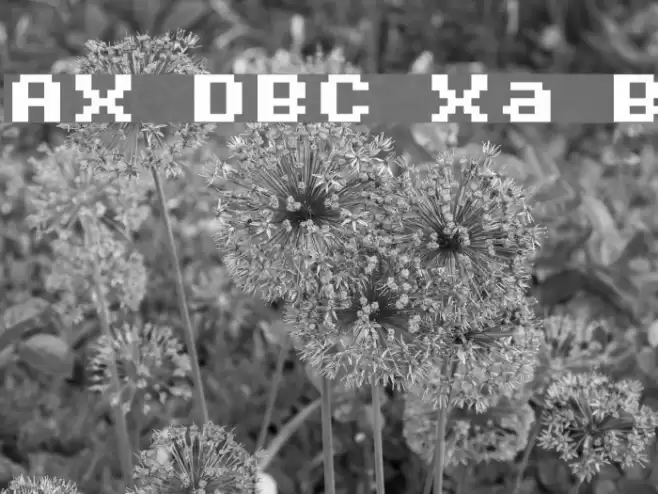 AuX DotBitC Xtra Bold Font examples