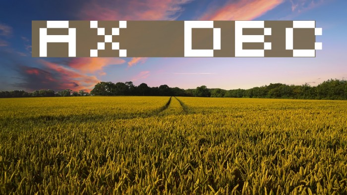 AuX DotBitC Font examples